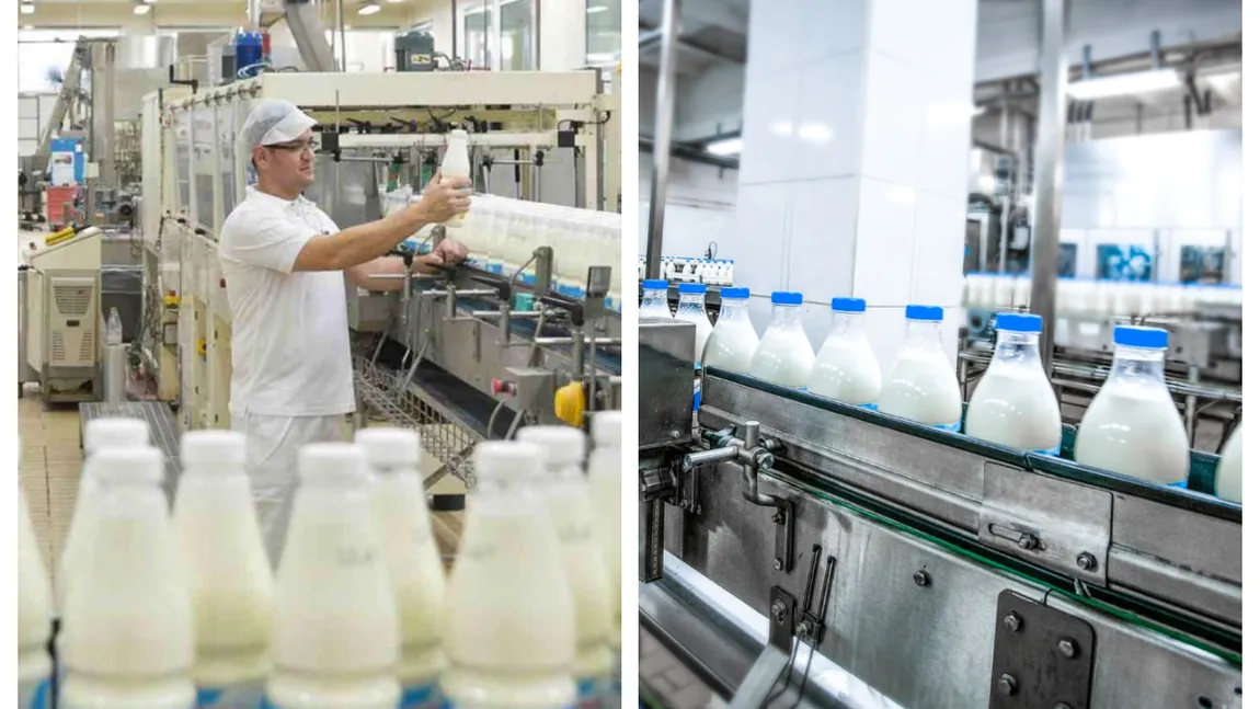 O cunoscută fabrică de lactate se închide după mai bine de 100 de ani. Care sunt motivele