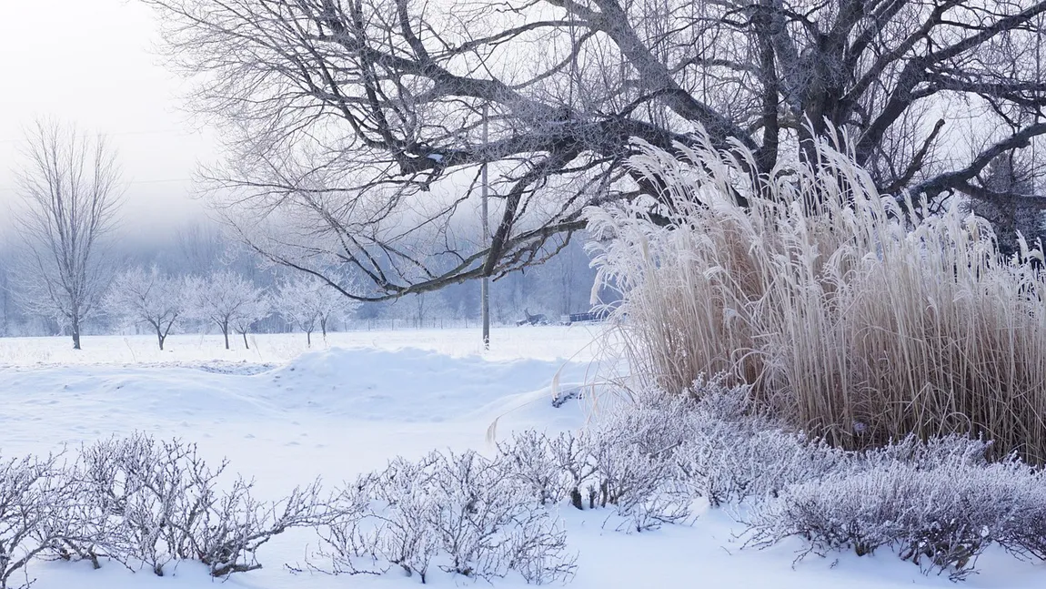 Prognoza meteo pentru luna ianuarie. Se anunță ger în toată țara, date de ultimă oră de la meteorologi