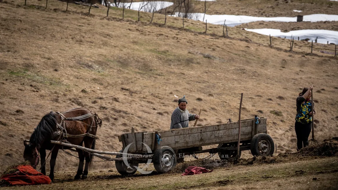 AUR propune exceptarea de la plata impozitului pentru anumiți români care trăiesc la sate
