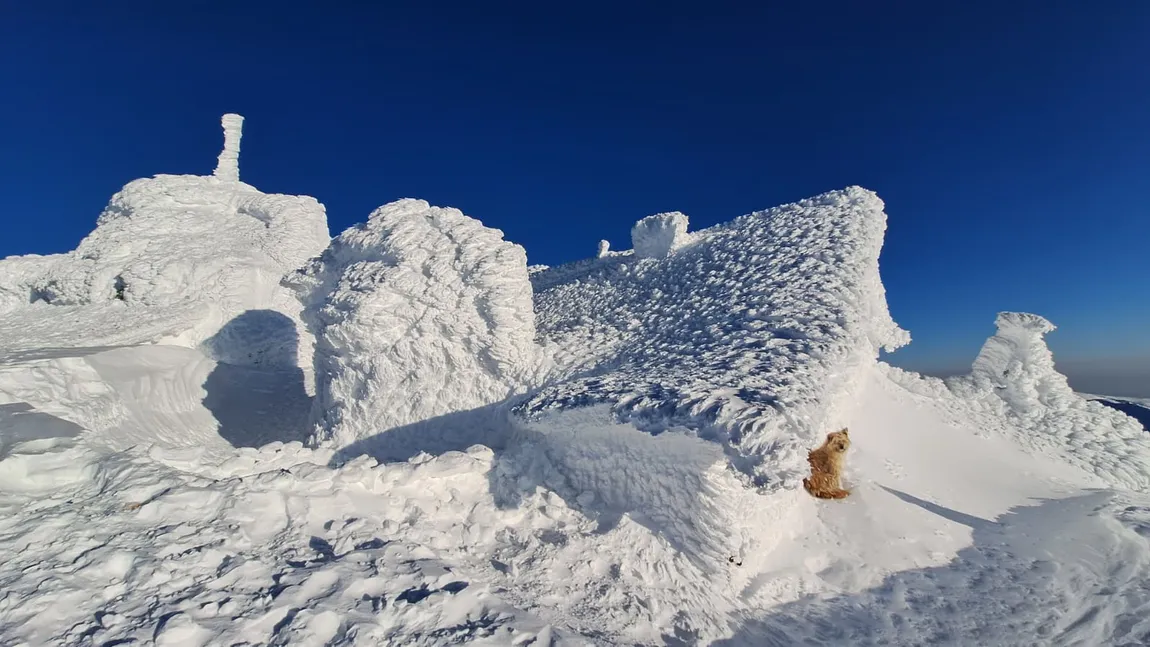 Prognoza meteo. Se întorc ninsorile în Moldova, strat nou de omăt şi la munte. Ger de crapă pietrele în depresiuni