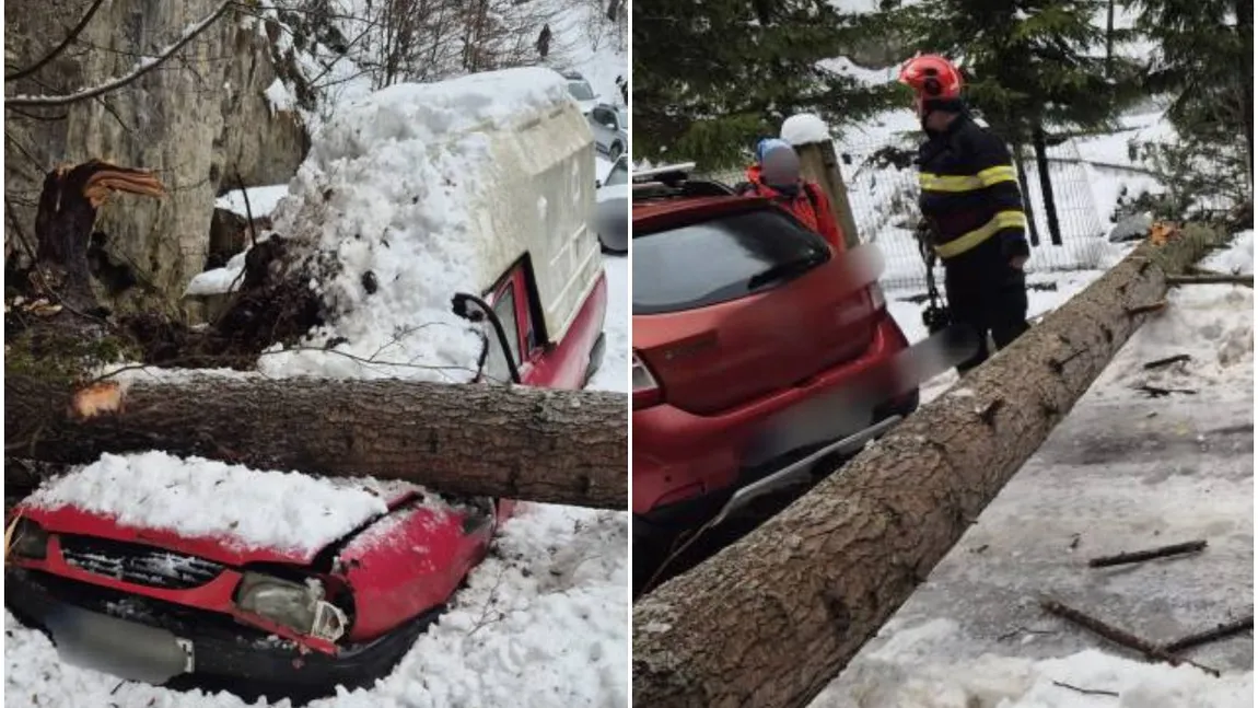 Brad prăbuşit peste o maşină parcată, în Argeş. Copacul a cedat sub greutatea zăpezii acumulate pe ramuri