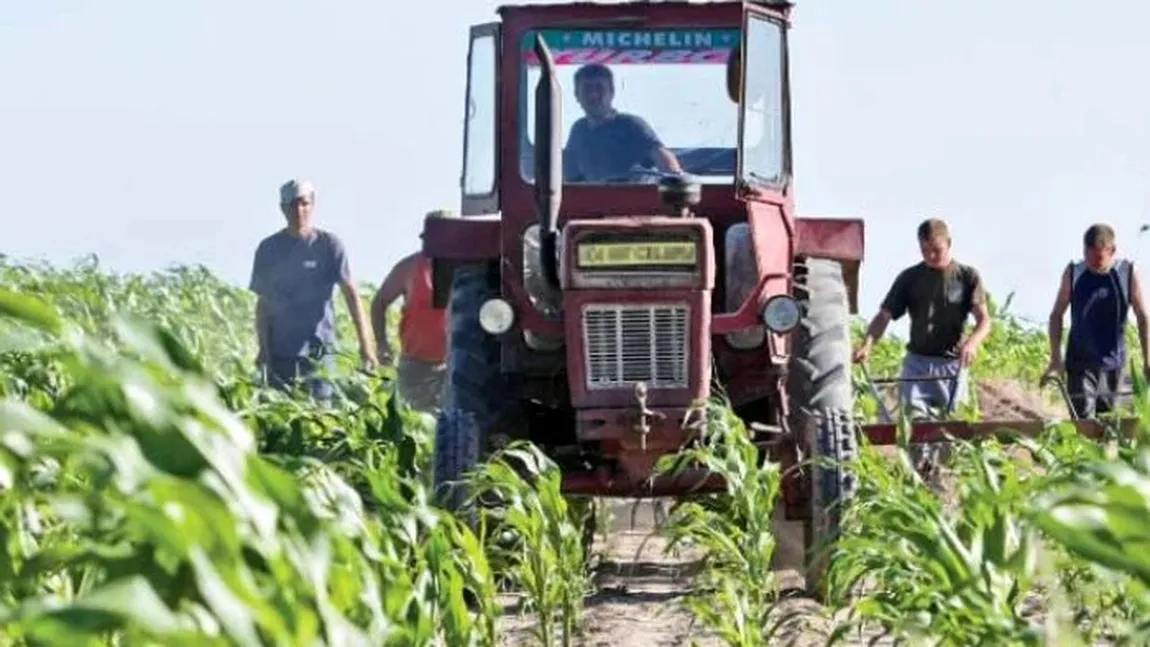 Statele UE au aprobat vineri acordul comercial cu blocul Mercosur. România a votat în favoare deși ministrul Agriculturii s-a opus