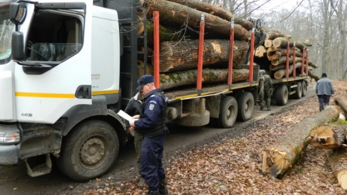 Ministrul Mediului anunţă actualizarea aplicaţiei SUMAL, care împiedică furtul de lemne