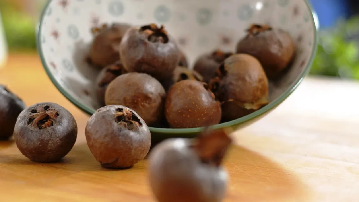 Pomul din care poți scoate bani frumoși, nu doar fructe. Moșmonul, cultura de nișă care rezistă la ger și se vinde scump