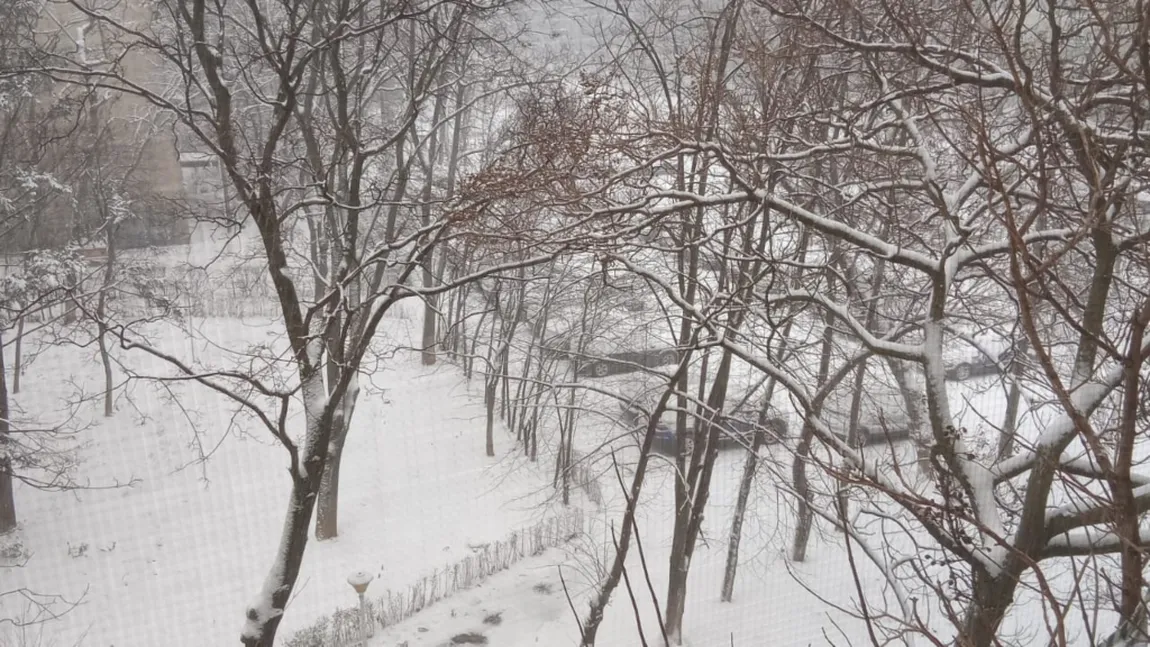 VIDEO Ninge ca-n povești peste sud-estul României. Capitala s-a îmbrăcat deja în alb