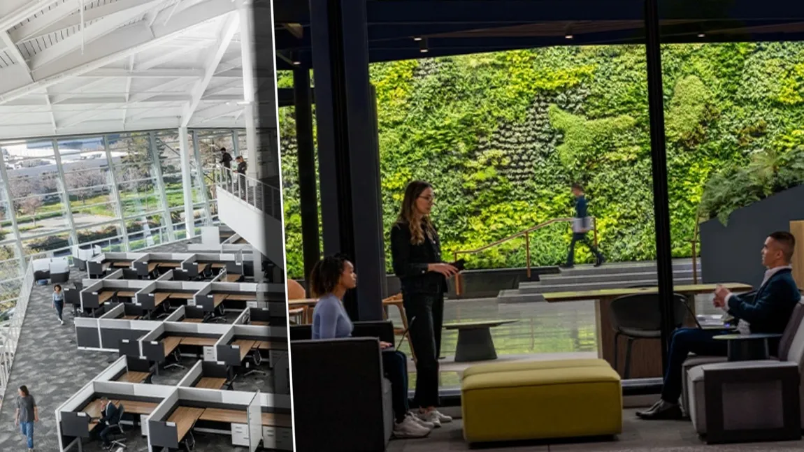 Ce salarii câștigă programatorii și inginerii care lucrează la cea mai valoroasă companie din lume