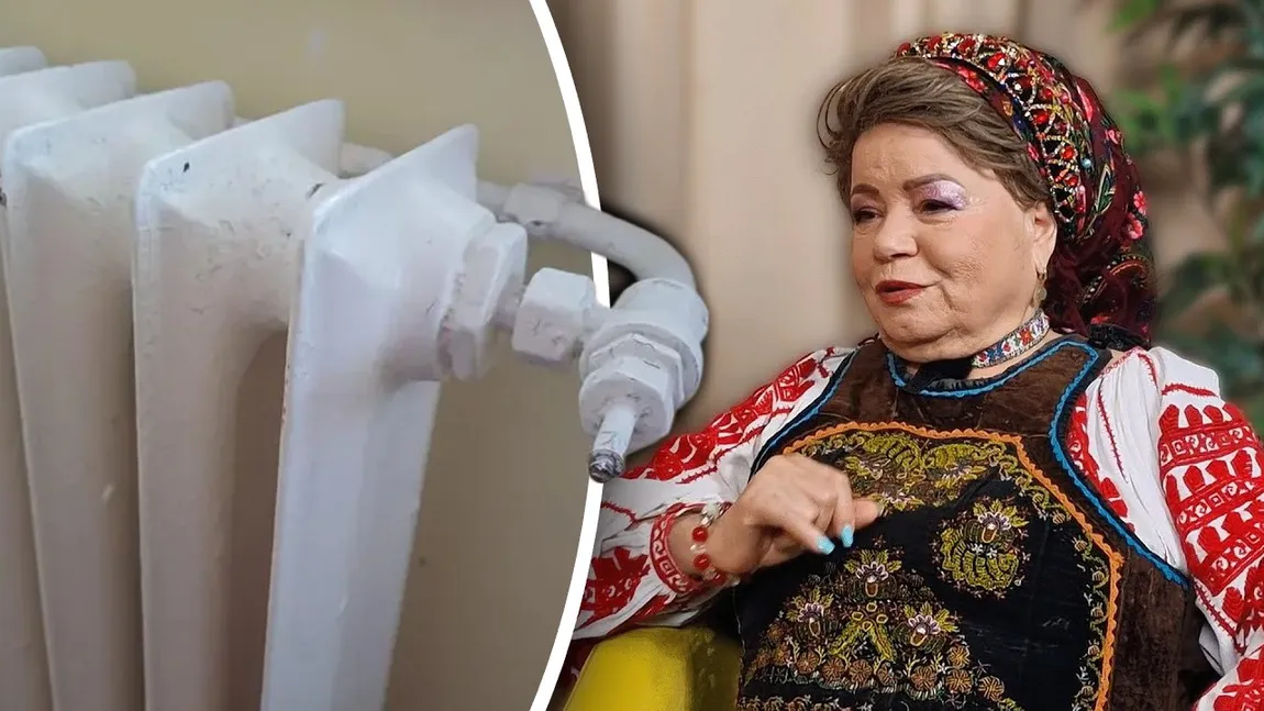 Saveta Bogdan, atac dur la adresa premierului Ilie Bolojan: „Bag caloriferul în priză și plătesc lumina de mă usucă. Tot mai vrea să mai mărească taxele”