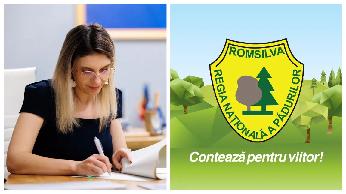 Reformă la sânge în Romsilva. Mult mai puține direcții regionale, concurs pe post pentru directori. Buzoianu: ”Suntem la un pas de a adopta hotărârea de guvern privind reorganizarea”