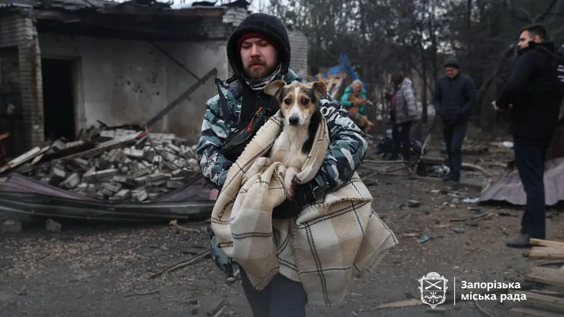 Război în Ucraina. Rusia atacă dezlănţuit, bombele au lovit şi un adăpost pentru câini VIDEO