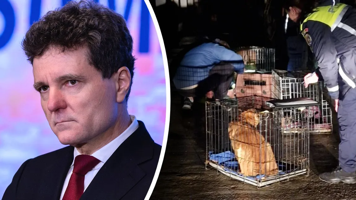 Reacție tranșantă de la Cotroceni după ororile descoperite la adăpostul pentru câini din Suraia: „Cruzimea față de animale este inacceptabilă și nu poate fi justificată în niciun context”