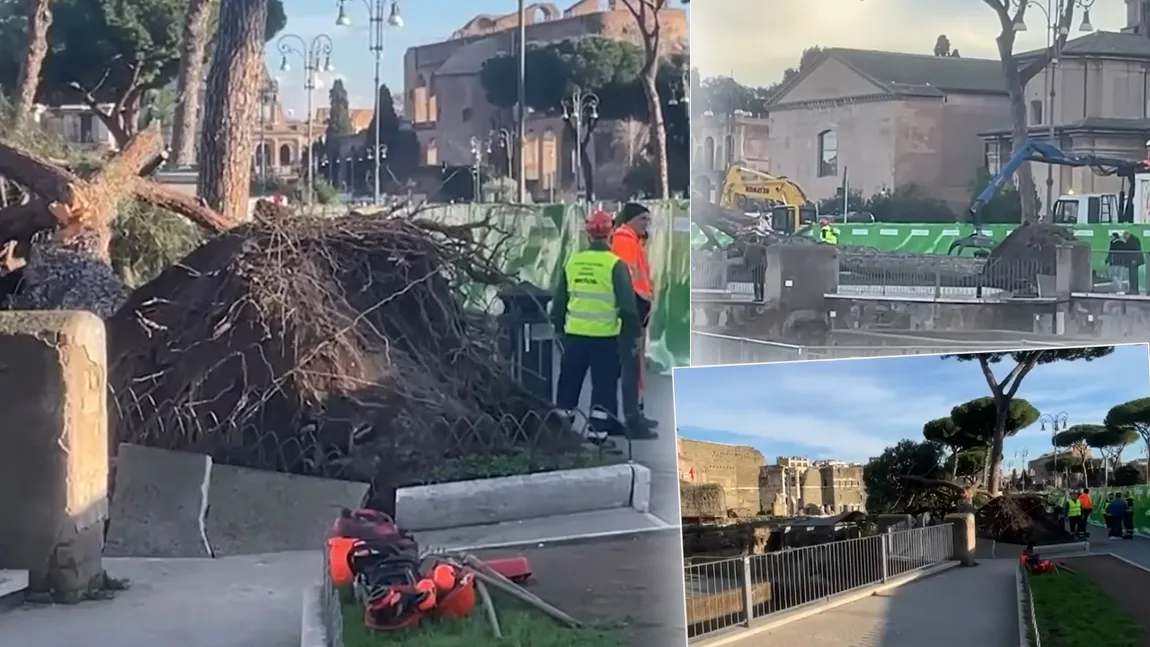 Un bărbat român, rănit după prăbușirea unui copac, în Roma: 