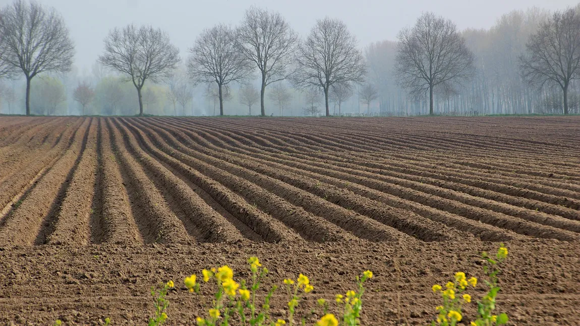 Subvenții APIA 2026. Câți bani încasează agricultorii pentru terenurile lăsate pârloagă