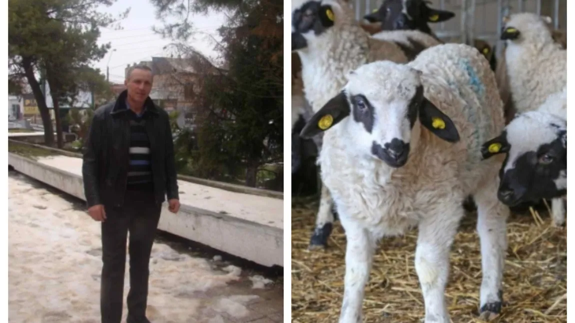 Fermier distrus de secetă și datorii: ”Am pregătiți 600 de miei de Paște și niciun ban să cumpăr furaje pentru animale!”