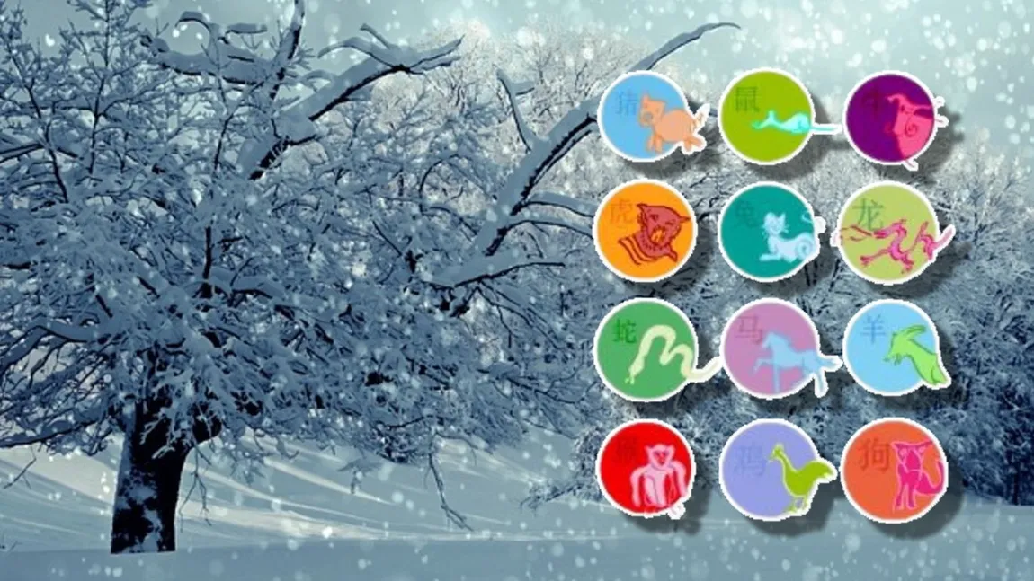 Horoscop 14 februarie 2026. O zodie este cerută în căsătorie de Valentine's day