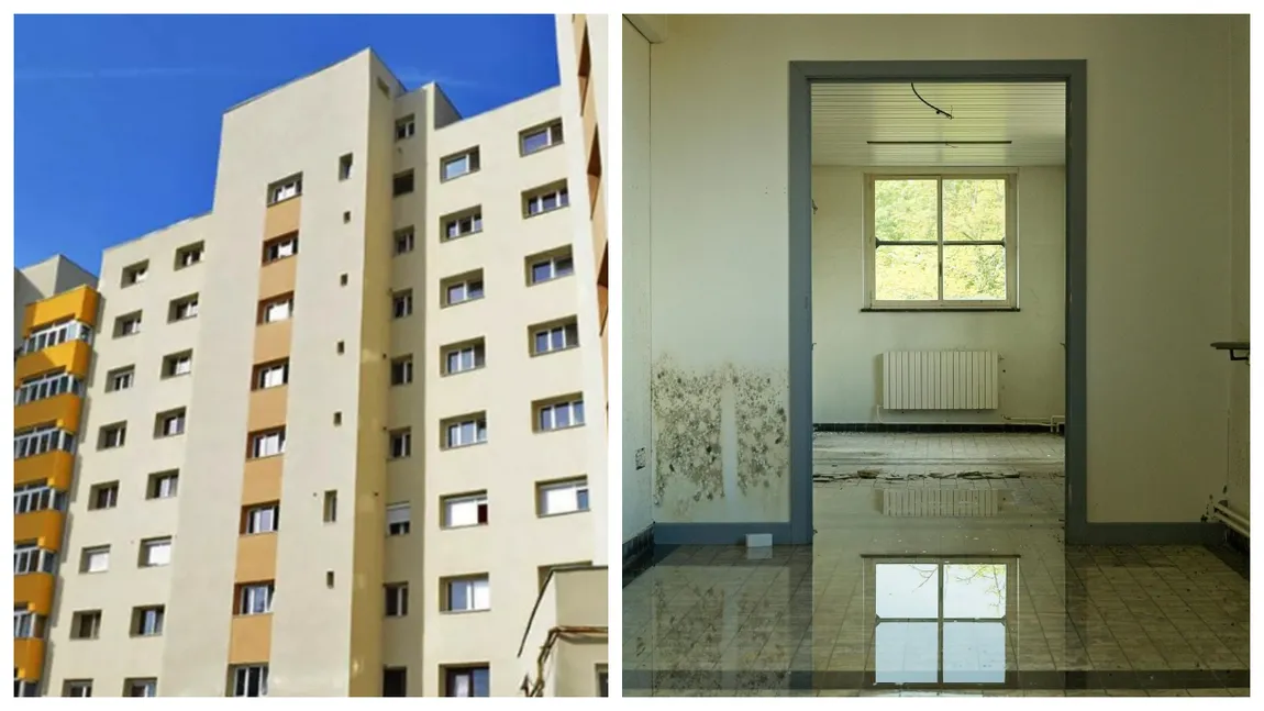 Viața la bloc 2026. Cum recuperezi paguba de la vecinul care ți-a inundat apartamentul. Asociația de proprietari te poate ajuta