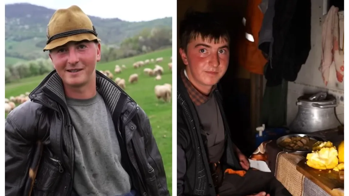 Transhumanţă din Germania pentru un trai chinuit în România. Mărturiile sfâșietoare ale unui tânăr cioban despre greutățile cu care se confruntă mulți crescători de animale din România: ”Aia e batjocură”