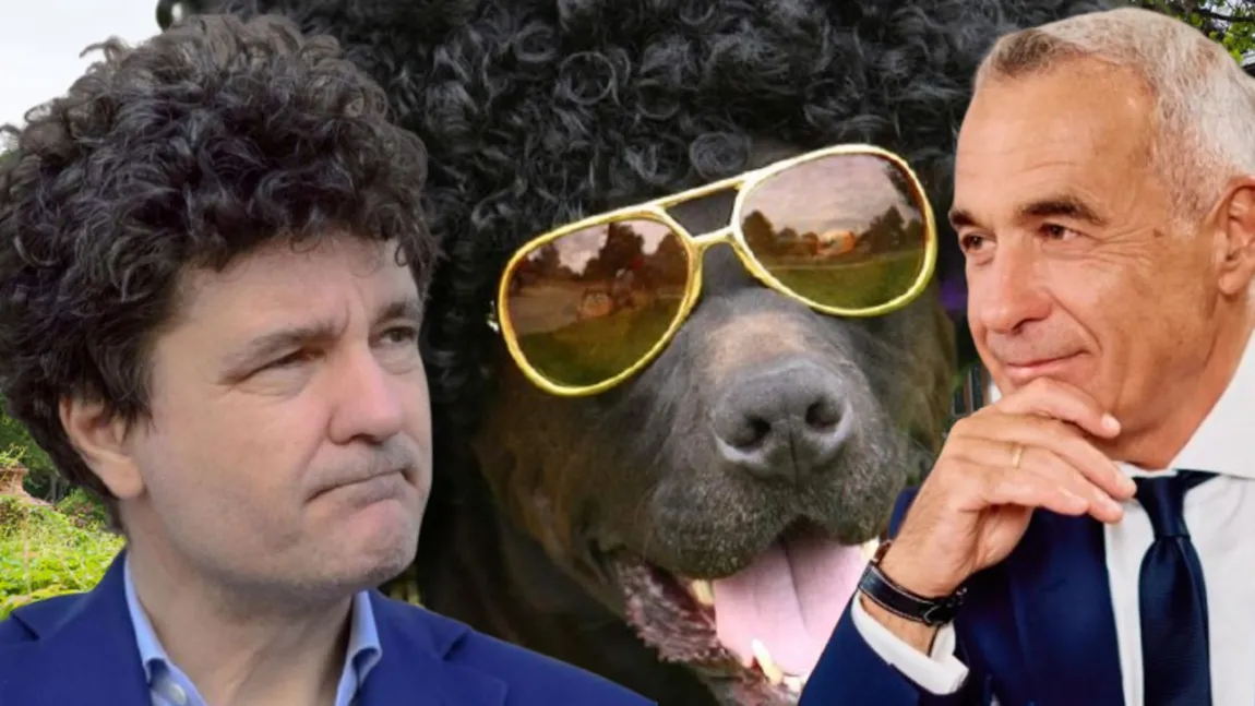 Călin Georgescu îl compară pe Nicușor Dan cu cățelușul creț Zdreanță. ”Și se jură că nu fură, dar l-am prins cu rața-n gură”. Ce spune despre scenariul alegerilor anticipate