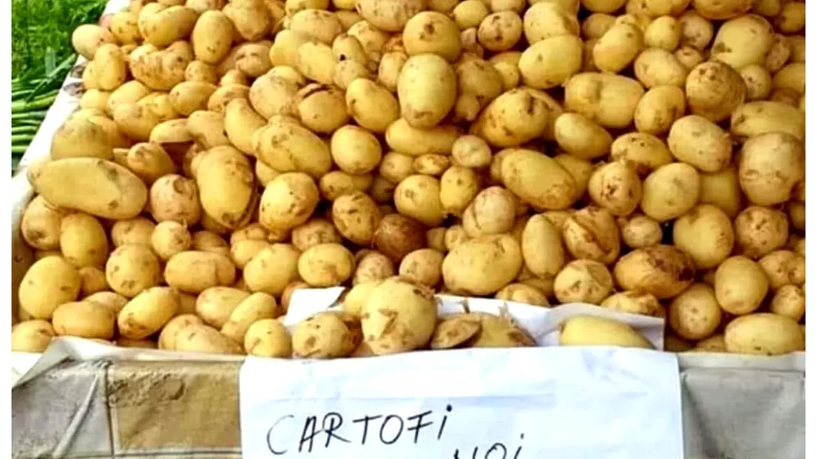 S-a scumpit masiv mâncarea săracului! Cartofii noi româneşti sunt mai scumpi decât ceafa de porc, iar roşiile 