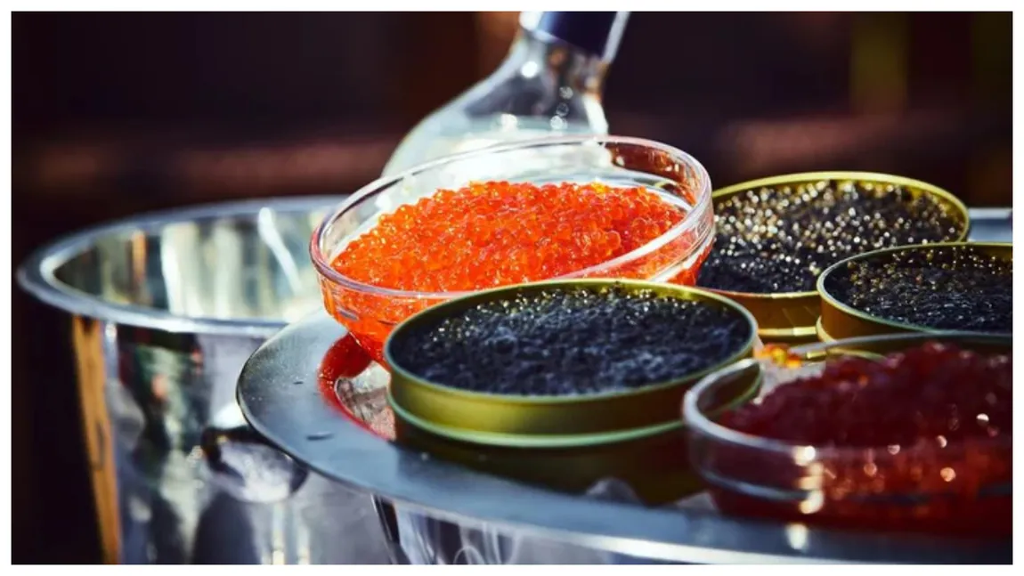 Ferma care produce primul sortiment de caviar ecologic din Europa. Un kilogram poate costa până la 8.000 de euro