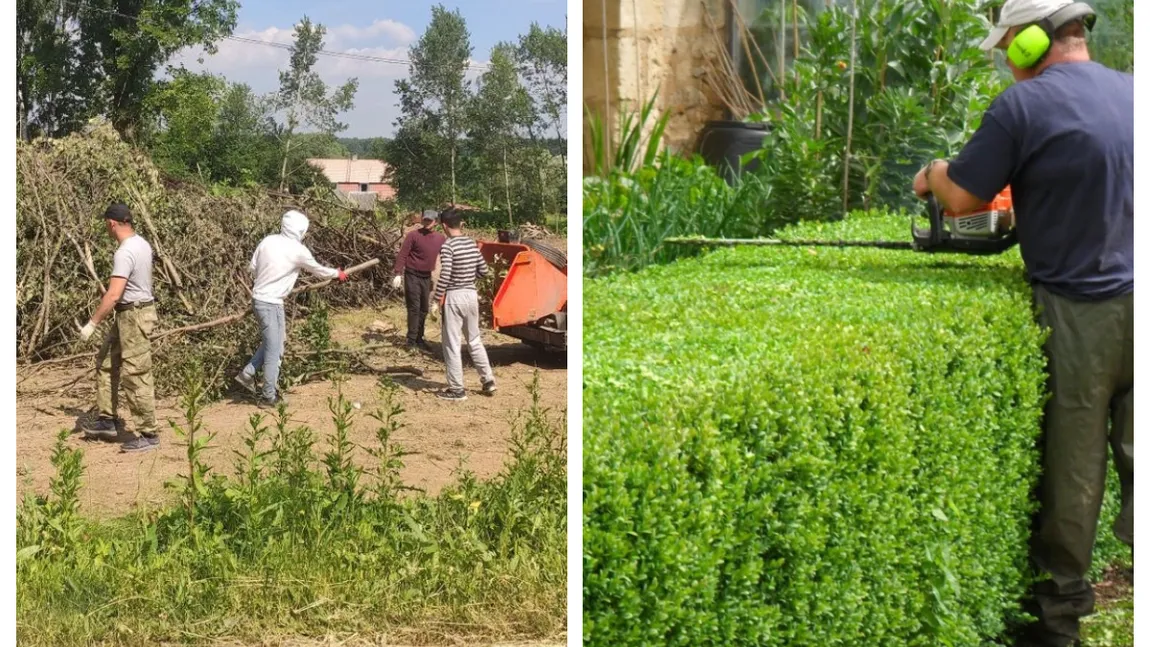 Obiceiul care aduce amenzi uriașe românilor care locuiesc la curte. Greșeala pe care o fac mulți români când își curăță grădinile