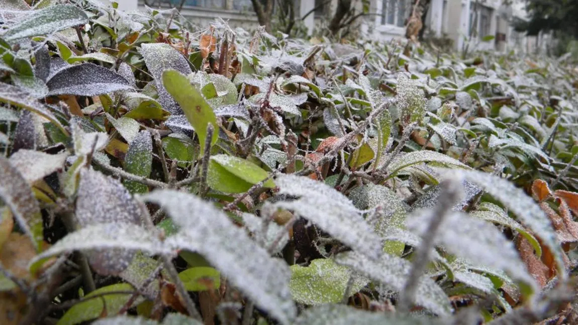 Vremea se schimbă în România. Cât vor mai fi temperaturile de îngheț noaptea și dimineața. Prognoza meteo ANM în perioada 17 martie – 12 aprilie 2026