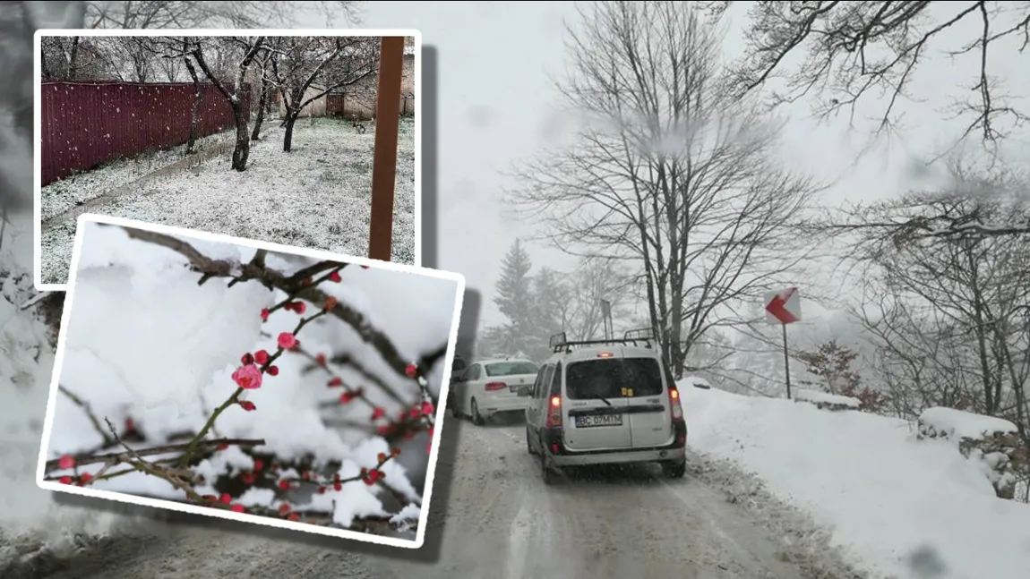 Ninge în România, în plină primăvară. Vortex polar cu 3 săptămâni înainte de Paște, alertă ANM de cod galben