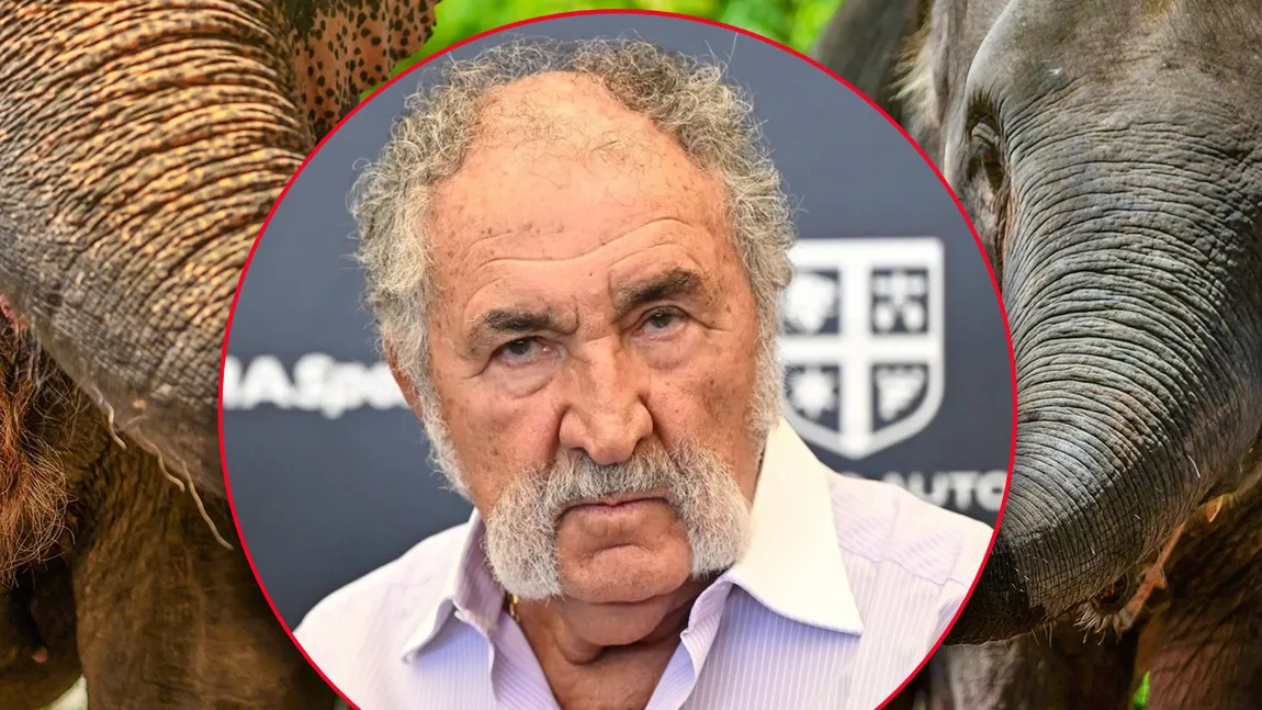 Ion Țiriac vrea să facă un muzeu al animalelor sălbatice, dedicat copiilor: 