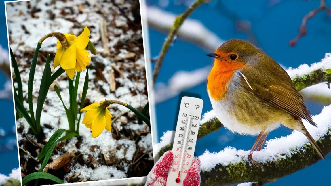 Ultima zi cu ninsori din această primăvară. Meteorologii Accuweather au actualizat prognoza