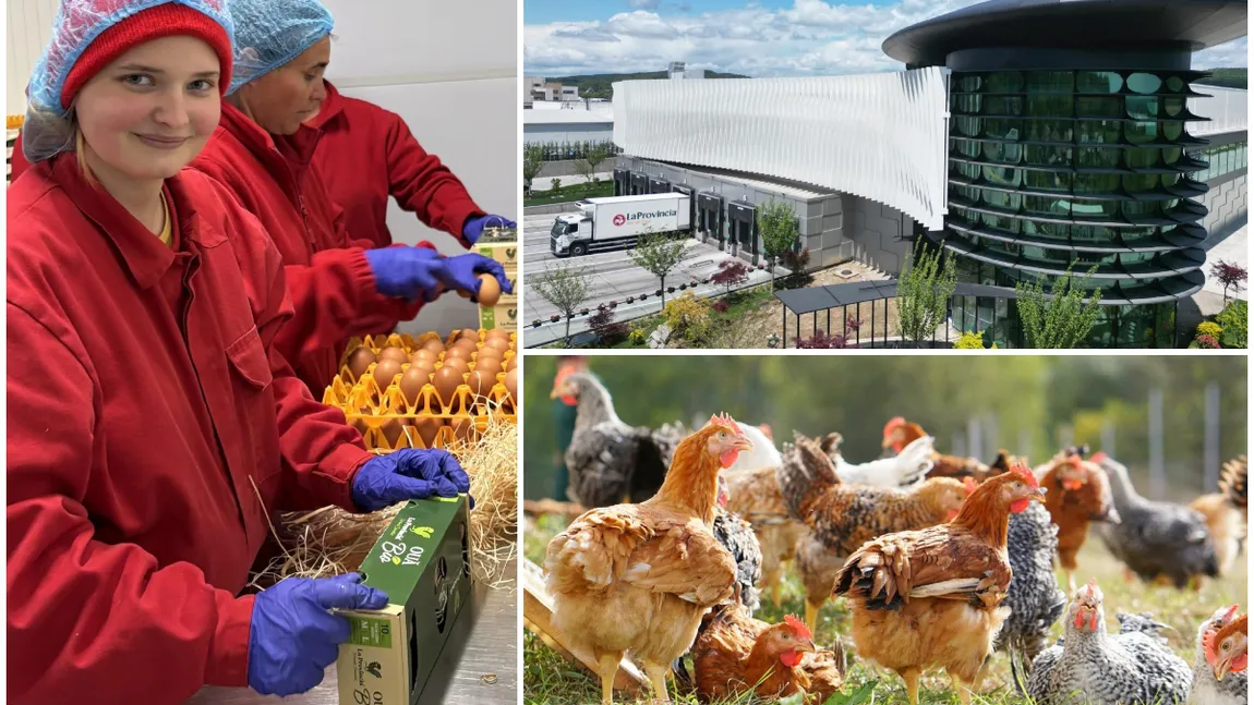 Carmistin The Food Company își consolidează poziția de lider în sectorul avicol din România, prin dublarea producției în ultimii doi ani