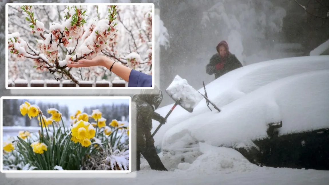 Meteorologii EaseWeather: Ninsorile se întorc în România începând cu 25 aprilie 2026