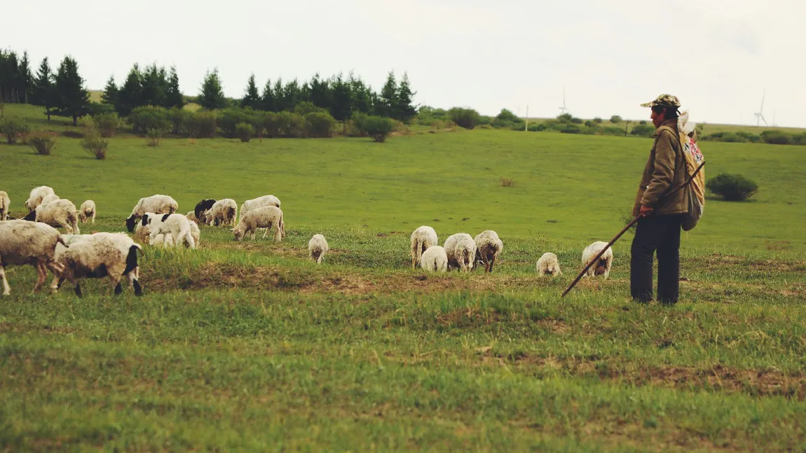 Meseria plătită cu 2.400 de euro pe care nimeni nu o vrea. Angajatorii caută cu disperare candidați
