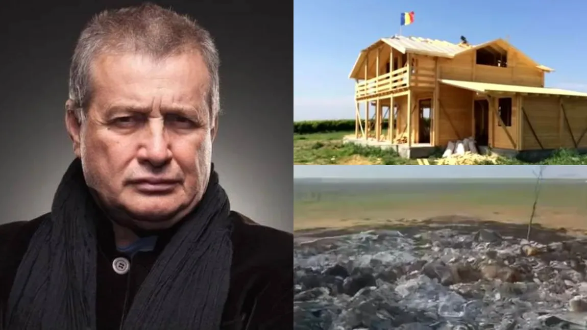Casa lui Mircea Dinescu din Dolj a fost incendiată. Ce a declarat poetul după ce locuința a ars în totalitate: „După ce mi-au dat foc la 20 de hectare de vie a urmat chestia asta” FOTO