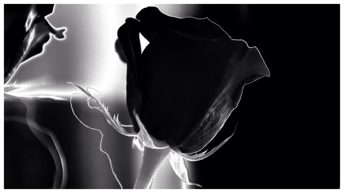 A murit un campion din 