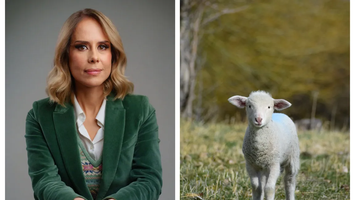 De ce e atât de scumpă carnea de miel. Mihaela Bilic dezvăluie cât de sănătoasă este, de fapt