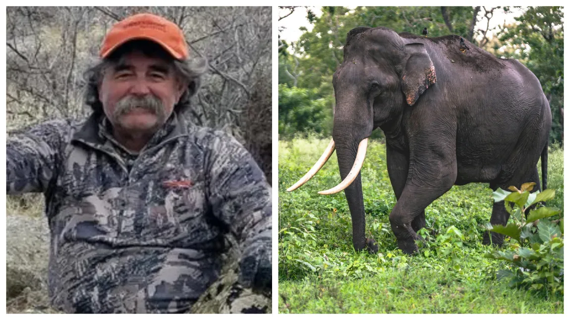 Un milionar a murit în condiții horror. A plecat la vânătoare de antilope și a fost ucis de elefanți!