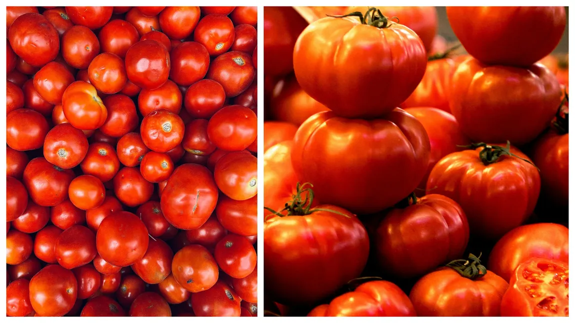 Cât costă roșiile românești la producător și la ce preț ajung pe tarabele din piețe. ”Cererea este mai mare decât oferta”