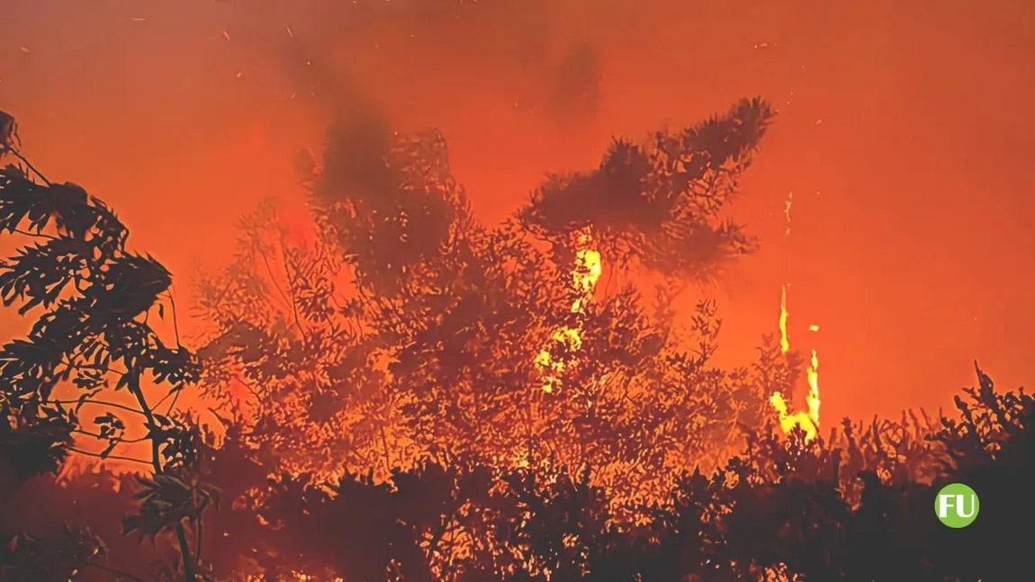 Incendiu violent în regiunea Toscana, a fost mobilizată armata VIDEO