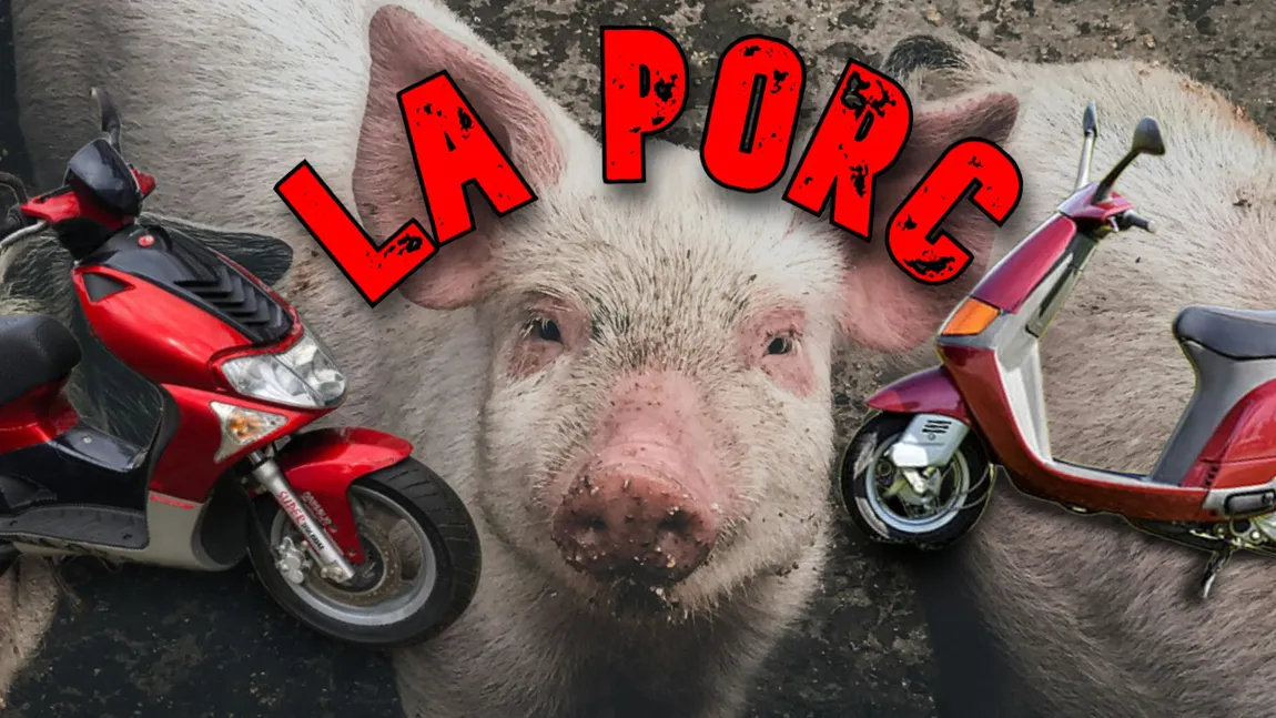 Cursă „nebună” într-o comună din Iași. Doi tineri au băut la barul „La Porc”, s-au întrecut cu scuterele 5 - 10 metri și au intrat unul în altul