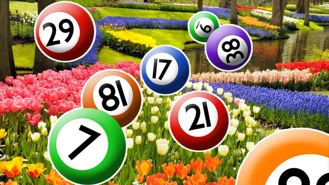 Rezultate Loto 14 mai 2026. Report de peste 4,36 milioane de euro la 6/49, categoria I