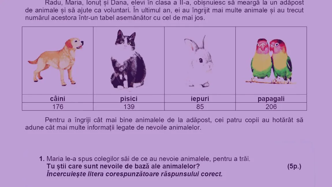 Evaluare Națională clasa a II-a. Subiecte la Matematică și Explorarea mediului