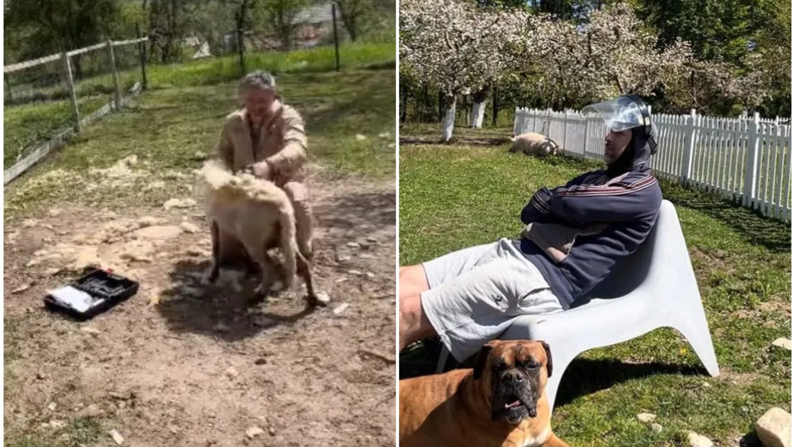 Cum arată acum gospodăria lui Dragoș Bucur. Cele mai noi imagini cu viața la țară a artistului