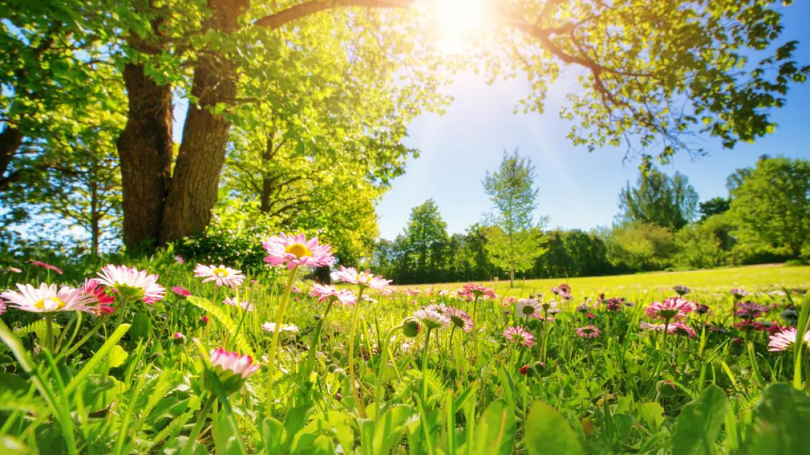 Prognoza meteo 5 mai. Temperaturi de vară și ploi în România. Termometrele vor urca spre 28 de grade