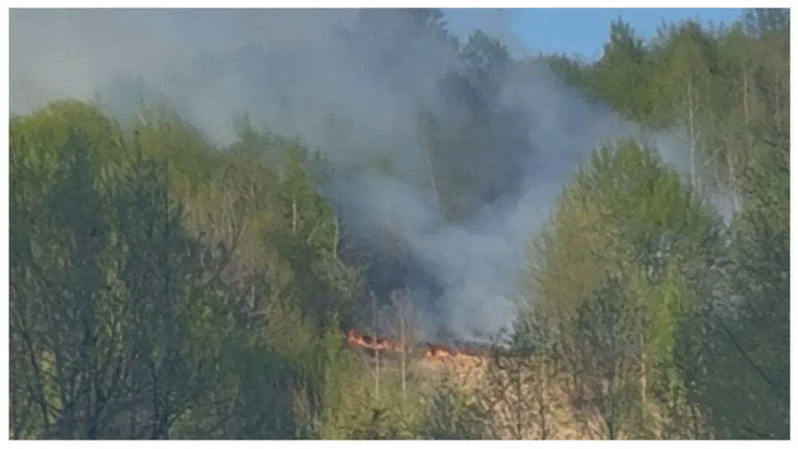 Incendiu de pădure pe Valea Anieşului. Focul a pornit de la o ţigară aruncată aprinsă