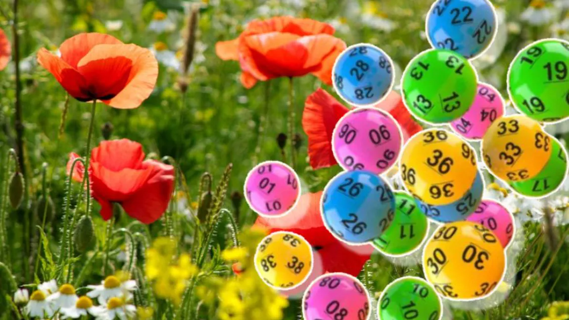 Rezultate Loto 17 mai 2026. Plouă cu bani la tragerea de duminică