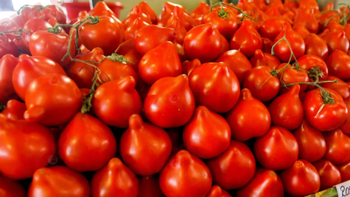 Roșiile cu moț, vedetele sezonului în supermarketuri și piețe. Cât costă kilogramul