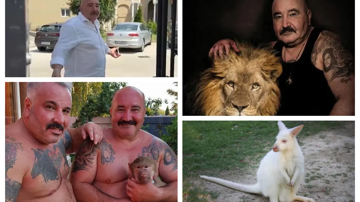 Nuţu Cămătaru, adus în faţa anchetatorilor din Ploieşti. Ce acuzaţii i se aduc