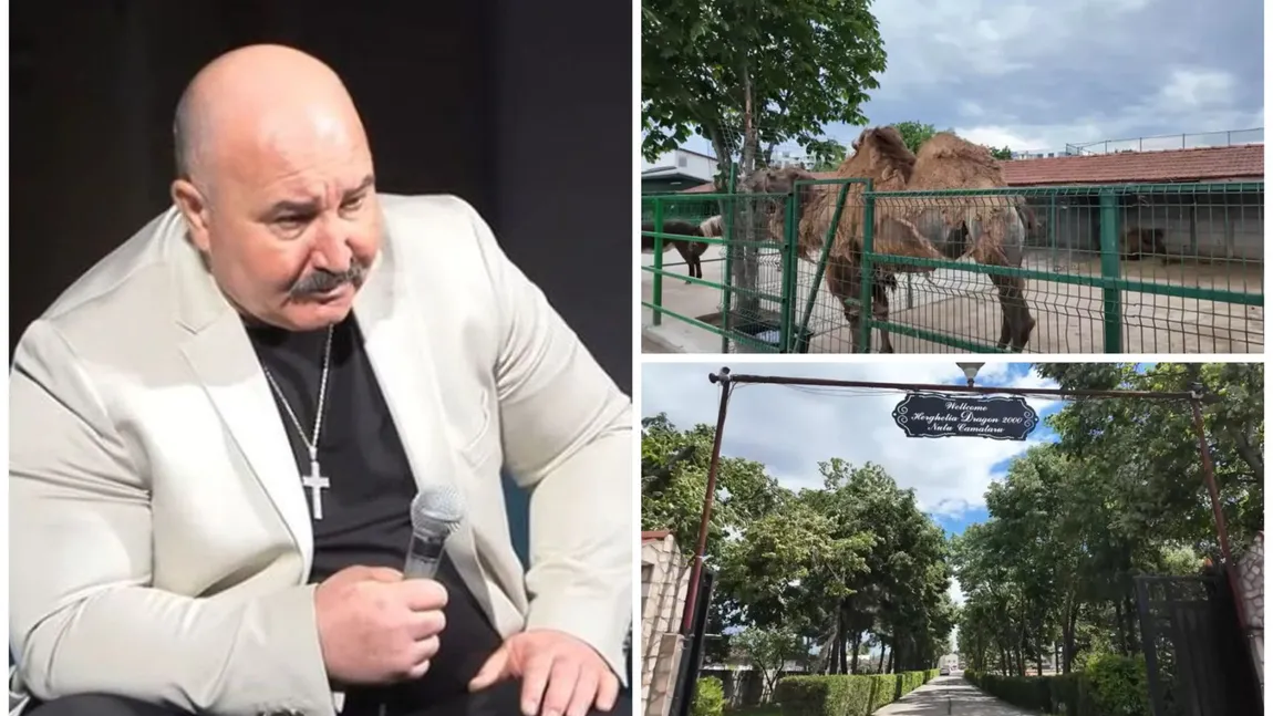 Cum arată vila lui Nuțu Cămătaru din Ferentari. Interlopul are o adevărată grădină zoologică în Capitală