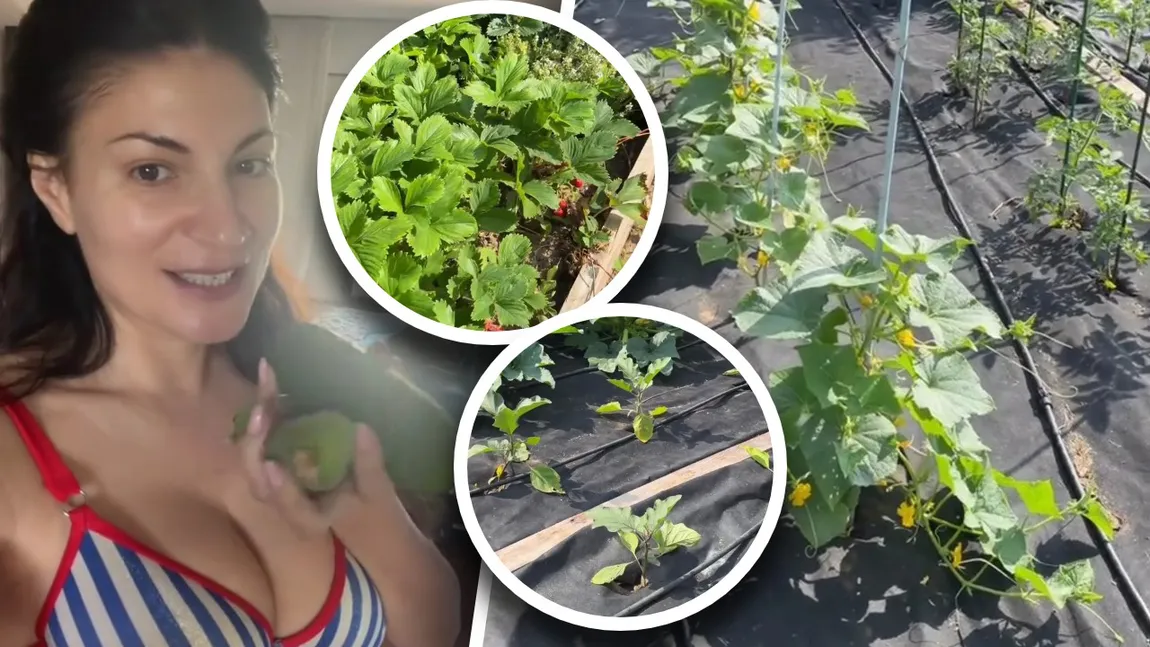 Ioana Ginghină, mândră de curtea casei sale. Actrița se ocupă de flori, iar soțul ei de grădina de legume: „Deja începe să dea roade!”