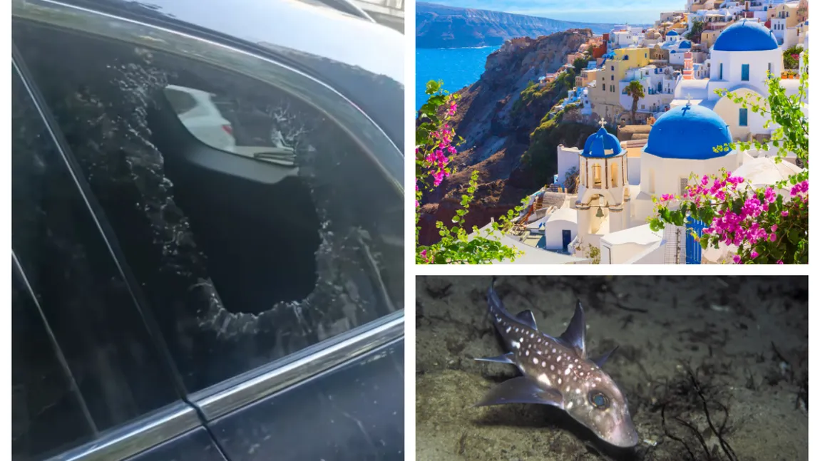 Hoţii şi peştele-iepure ameninţă vacanţele românilor din Grecia VIDEO