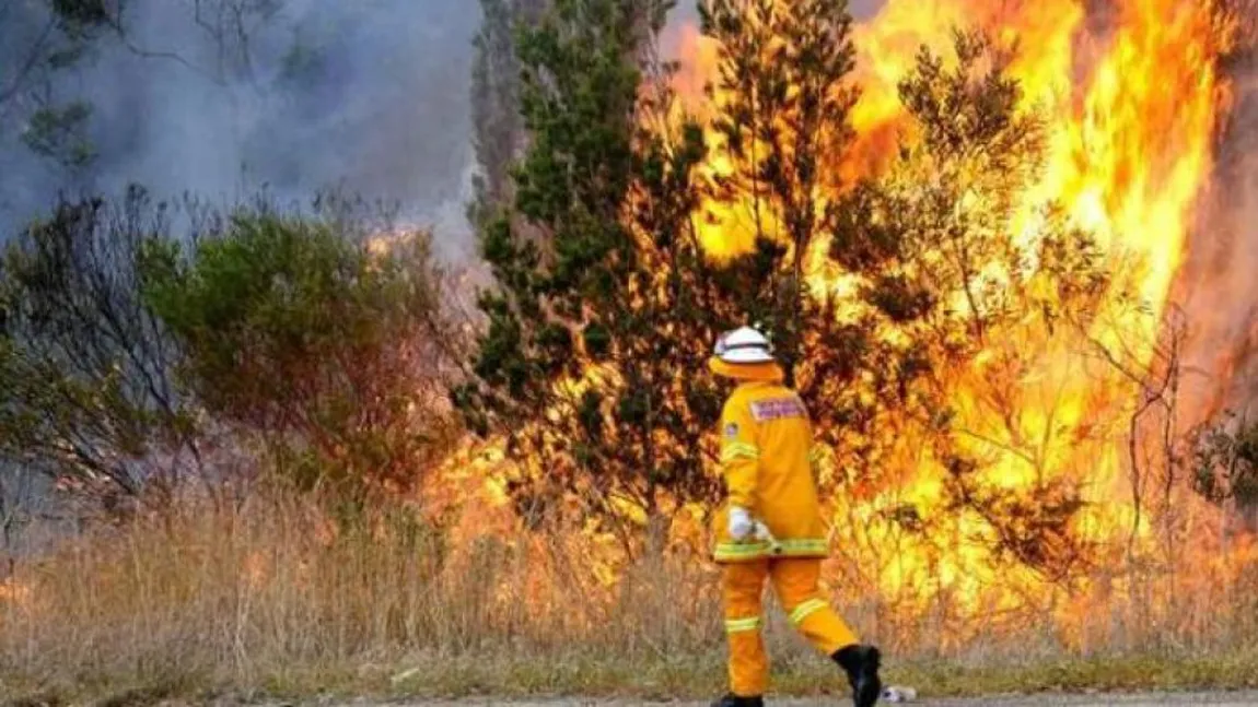 Incendiu de vegetație în Spania. Au ars 330 de hectare. Mai mulți oameni sunt evacuați